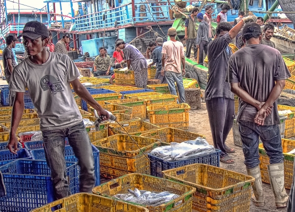 Photograph Ndae Iskandar Where Is The Fish? on One Eyeland